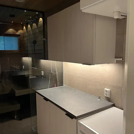 Nordic Aurora With Jacuzzi